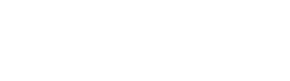 Logo Viseeon